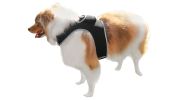Collar Tag Dog Locator Rechargeable + Realtime Easy Pet GPS App System Size:L